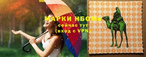 амф Ладушкин