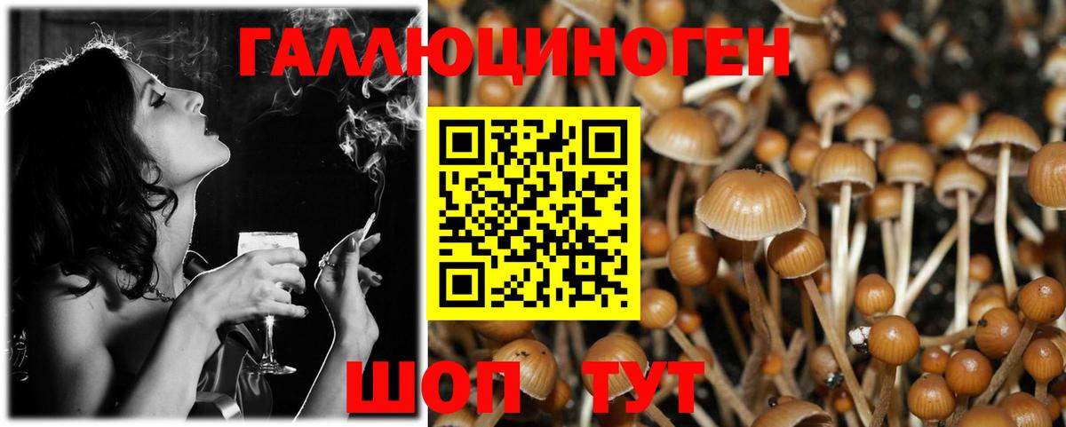 Псилоцибиновые грибы Magic Shrooms  Южноуральск 