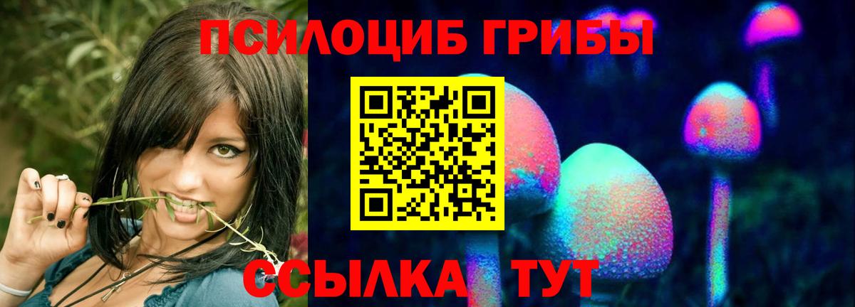 Псилоцибиновые грибы мухоморы Южноуральск